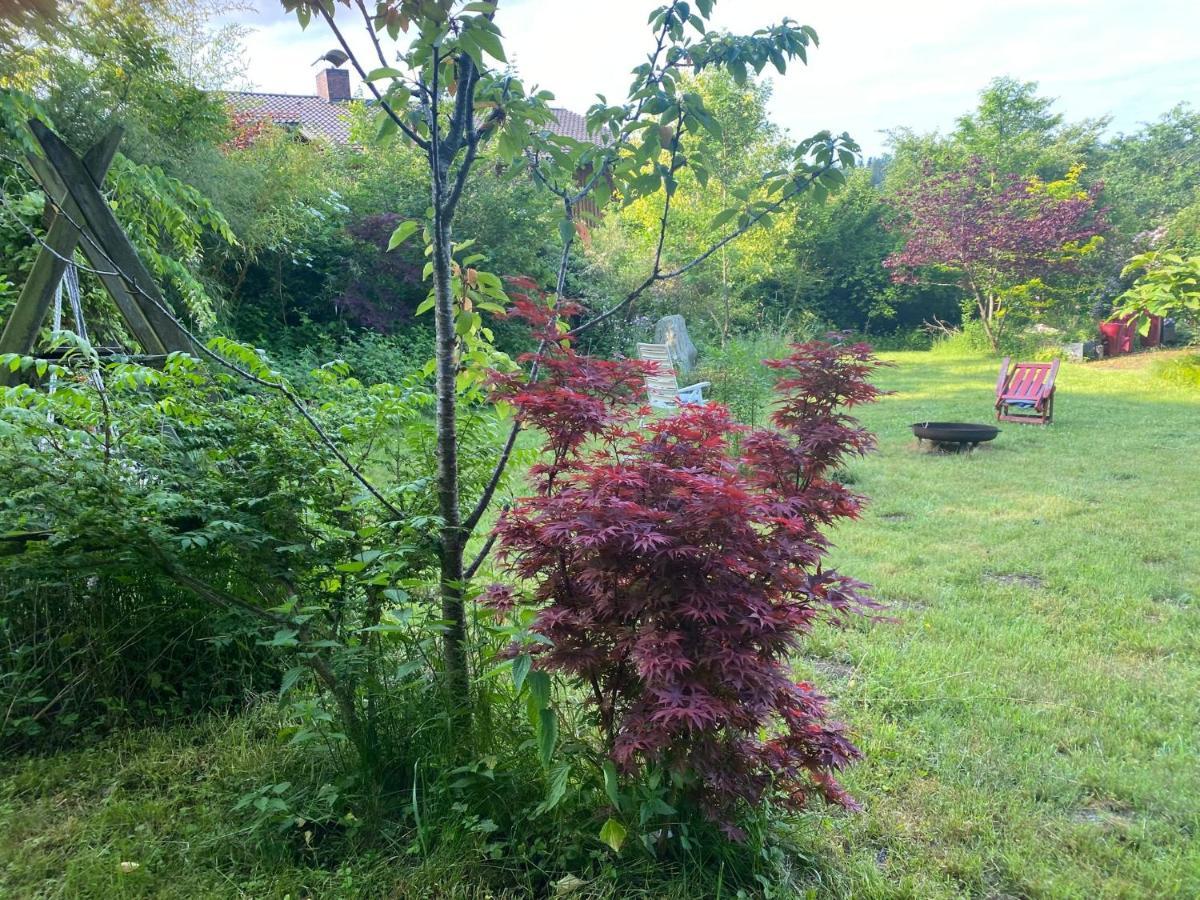 Waldzauber Appartement Waldkirchen Buitenkant foto